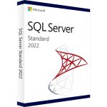 SQL Server 2022 Standard 5 pc